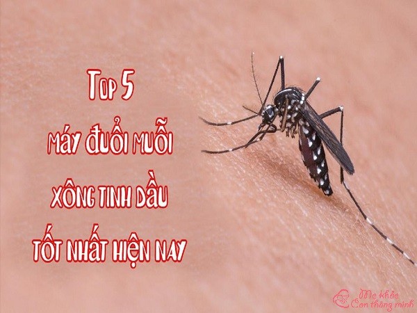 Bật mí 5 máy xông tinh dầu đuổi muỗi tốt nhất hiện nay