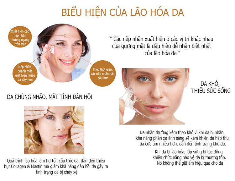 biểu hiện lão hóa da