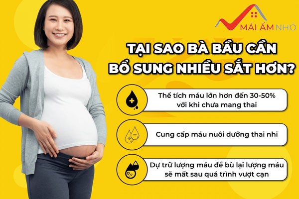 Nhu cầu sắt của phụ nữ sẽ tăng cao trong giai đoạn mang thai và sau sinh