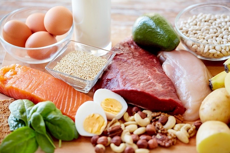 Protein đóng vai trò tạo ra kháng thể miễn dịch