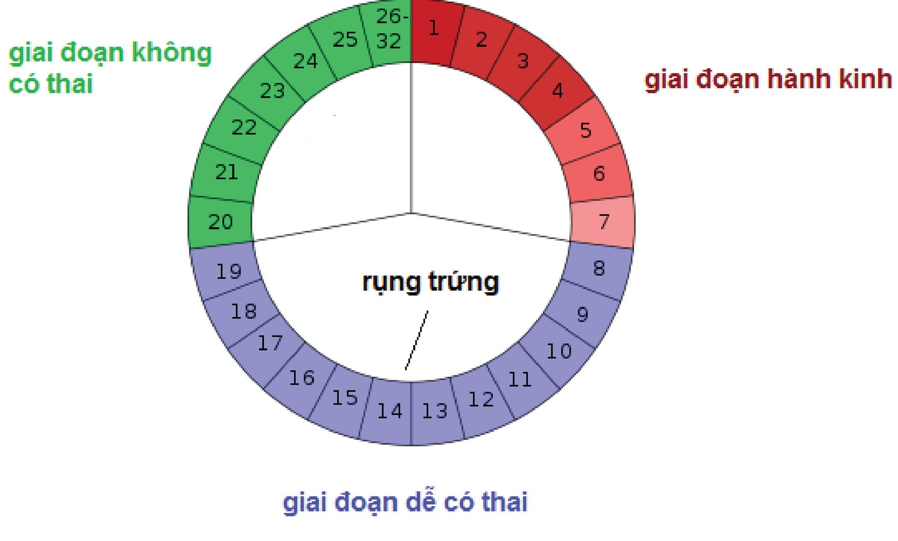 rụng trứng
