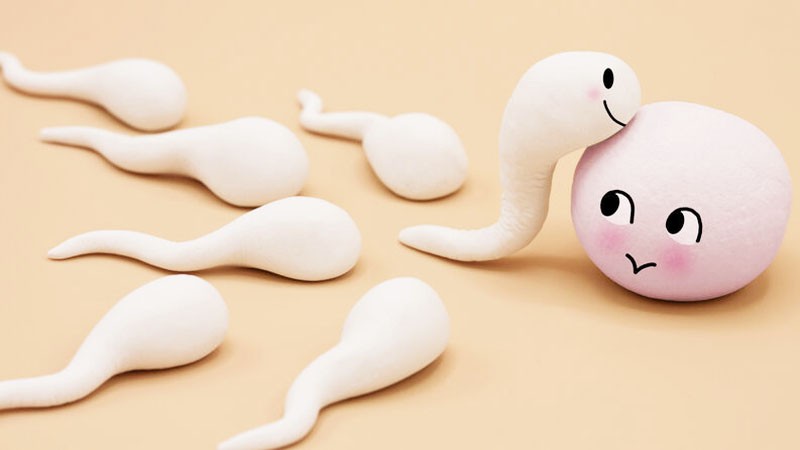 Chất lượng tinh trùng phải khỏe