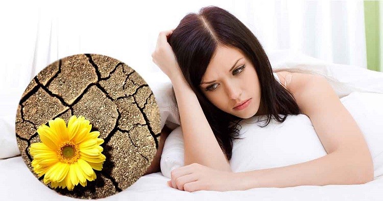 Khô âm đạo tuổi tiền mãn kinh