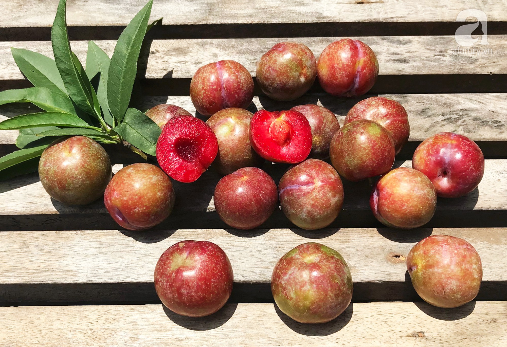 Bà bầu có nên ăn mận không? Bà bầu có nên ăn mận không?