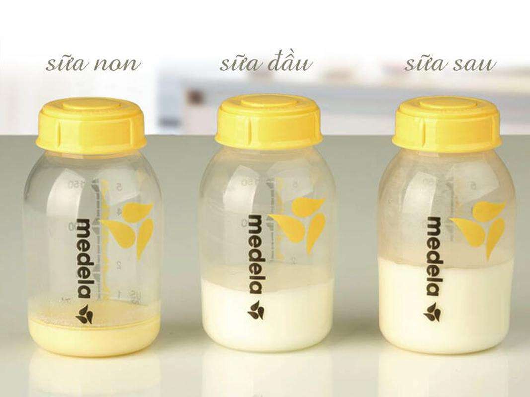 bột sữa non là gì, sữa non bà bầu là gì, sữa non là gi, sữa non có tác dụng gì cho bé, uống sữa non có tác dụng gì, sữa non như thế nào, sữa non có công dụng gì, sữa non có tác dụng gì cho trẻ, sữa non có tác dụng như thế nào