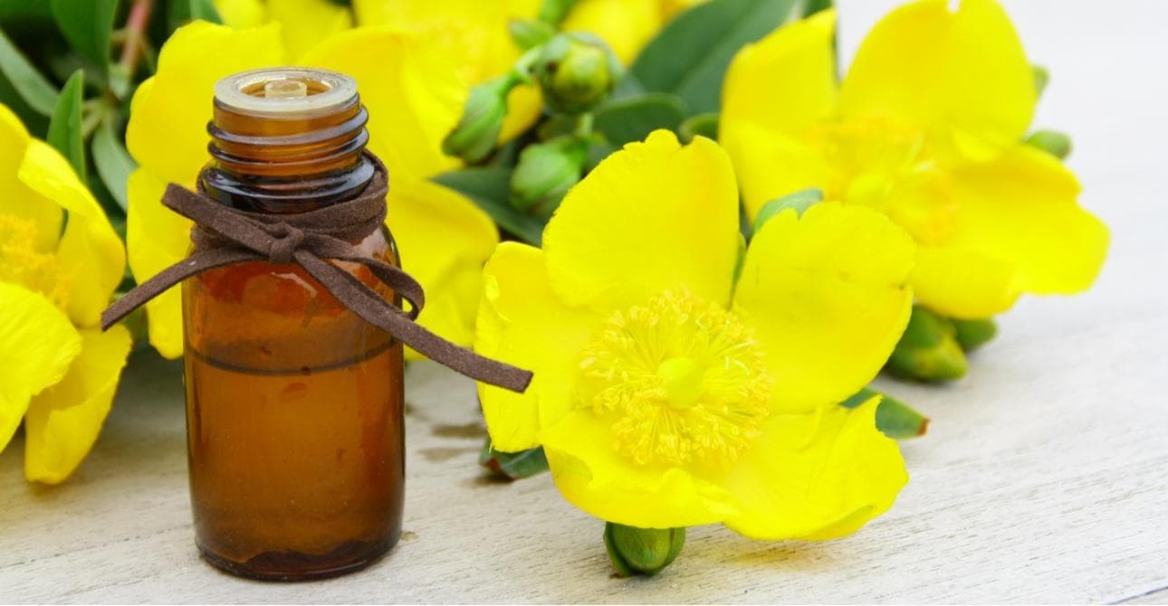 Có nên uống tinh dầu hoa anh thảo không? Có nên uống tinh dầu hoa anh thảo không, Có nên uống tinh dầu hoa anh thảo