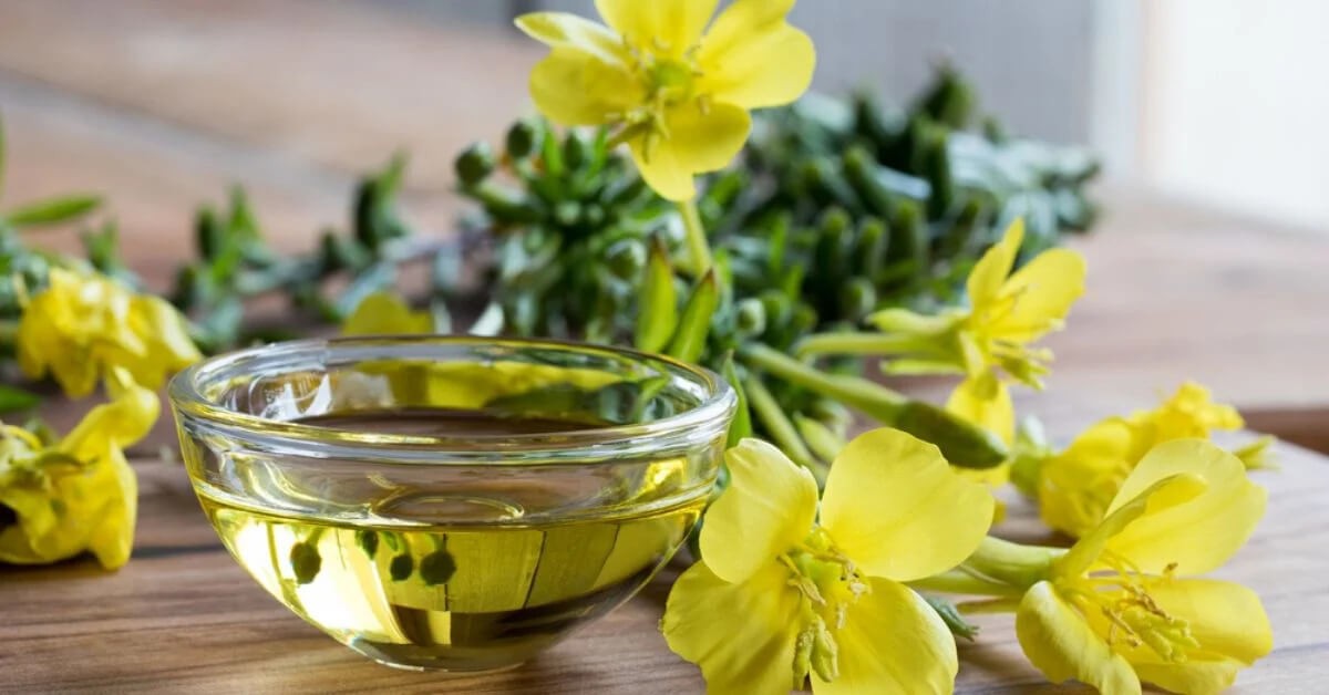 tinh dầu hoa anh thảo hỗ trợ mang thai, tinh dầu hoa anh thảo giúp thụ thai, uống tinh dầu hoa anh thảo nhanh có thai, tinh dầu hoa anh thảo tăng khả năng thụ thai webtretho