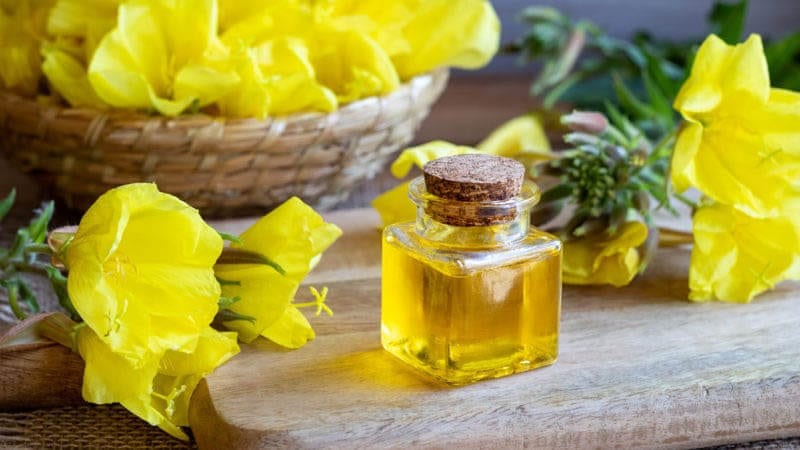 bà bầu uống tinh dầu hoa anh thảo, uống tinh dầu hoa anh thảo khi mang thai, có bầu uống tinh dầu hoa anh thảo, có thai có được uống tinh dầu hoa anh thảo không, uống tinh dầu hoa anh thảo trước khi mang thai, bà bầu có nên uống tinh dầu hoa anh thảo, bà bầu có được uống tinh dầu hoa anh thảo, có bầu có uống được tinh dầu hoa anh thảo không