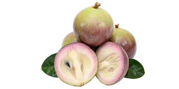 Bà bầu ăn vú sữa được không? Những lợi ích khi ăn vú sữa Bà bầu ăn vú sữa được không? Những lợi ích khi ăn vú sữa