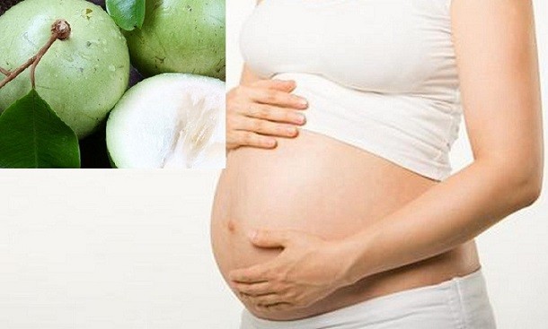 Bà bầu ăn vú sữa được không? Những lợi ích khi ăn vú sữa Bà bầu ăn vú sữa được không? Những lợi ích khi ăn vú sữa