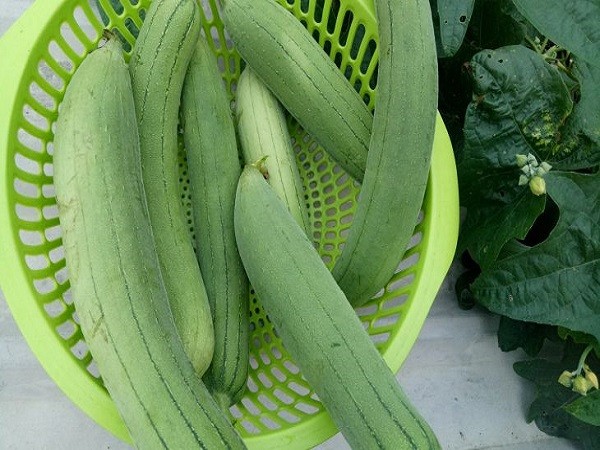 ăn gì để sữa đặc, ăn gì cho sữa đặc, ăn gì để sữa mẹ đặc và thơm, ăn gì để sữa mẹ đặc con tăng cân, mẹ ăn gì để sữa đặc, ăn gì để sữa đặc và thơm, ăn gì để sữa đặc và mát, ăn gì để sữa mẹ đặc và thơm webtretho