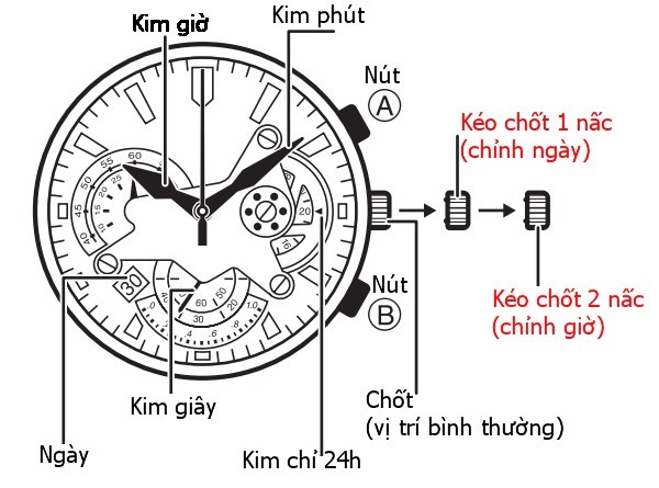 cách chỉnh giờ đồng hồ seiko radio controlled, cách chỉnh giờ đồng hồ seiko radio wave control solar, cách chỉnh giờ đồng hồ seiko radio wave control