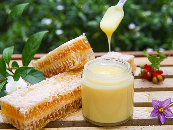 có nên uống sữa ong chúa thường xuyên không, có nên uống sữa ong chúa thường xuyên, có nên dùng sữa ong chúa thường xuyên
